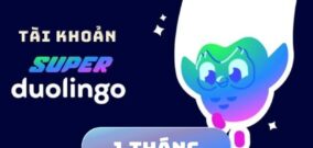 Duolingo Super 1 tháng – Tài khoản