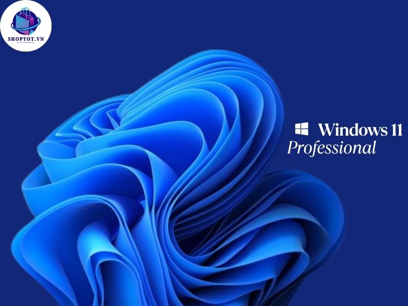 Windows 11 Pro Key