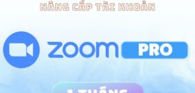 Zoom Pro