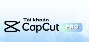 Capcut Pro 1 Năm Chính Chủ